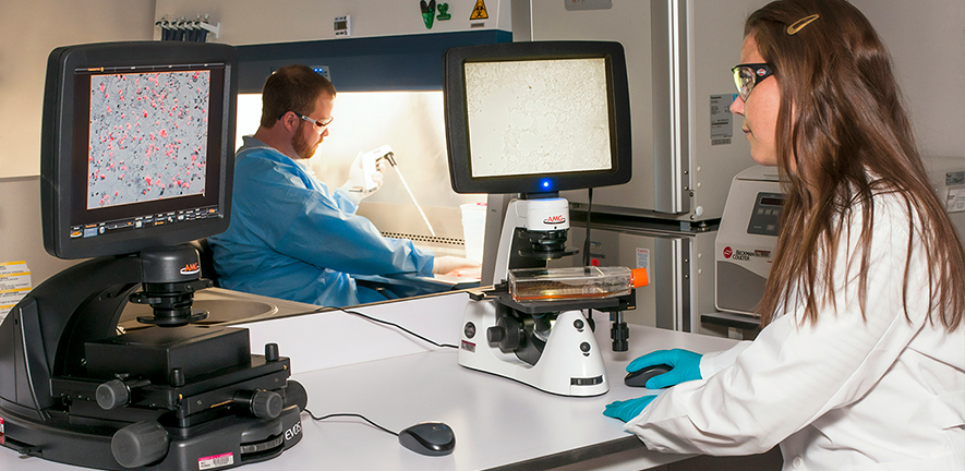 Multidisciplinary research in the Department of Oncology