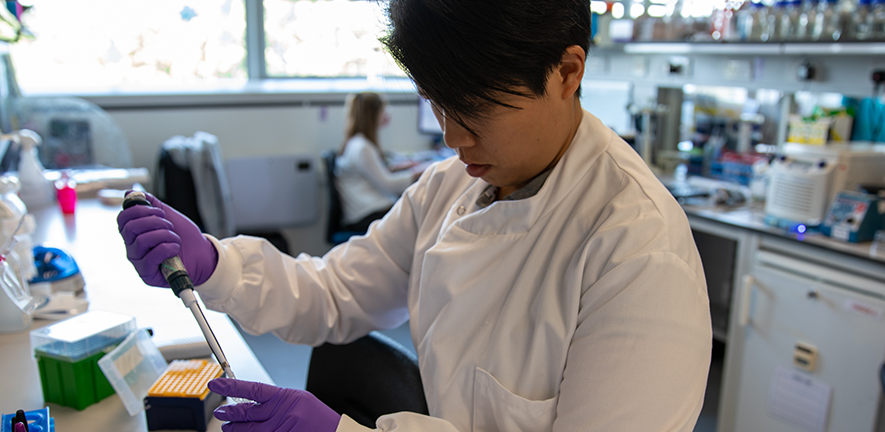 Training the next generation of cancer researchers