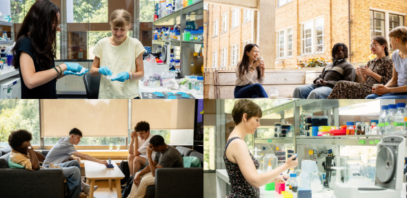 Study or work with us Study or work with us