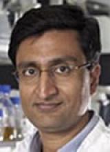 Professor Ashok Venkitamaran's picture